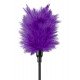 Набор для интимных удовольствий Purple Passion Kit Набор для интимных удовольствий Purple Passion Kit