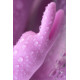 Сиреневый вибратор-кролик Hello Rabbit - 24,5 см.