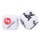 Игральные кубики In Case Of Sudden Lust Sex Dice